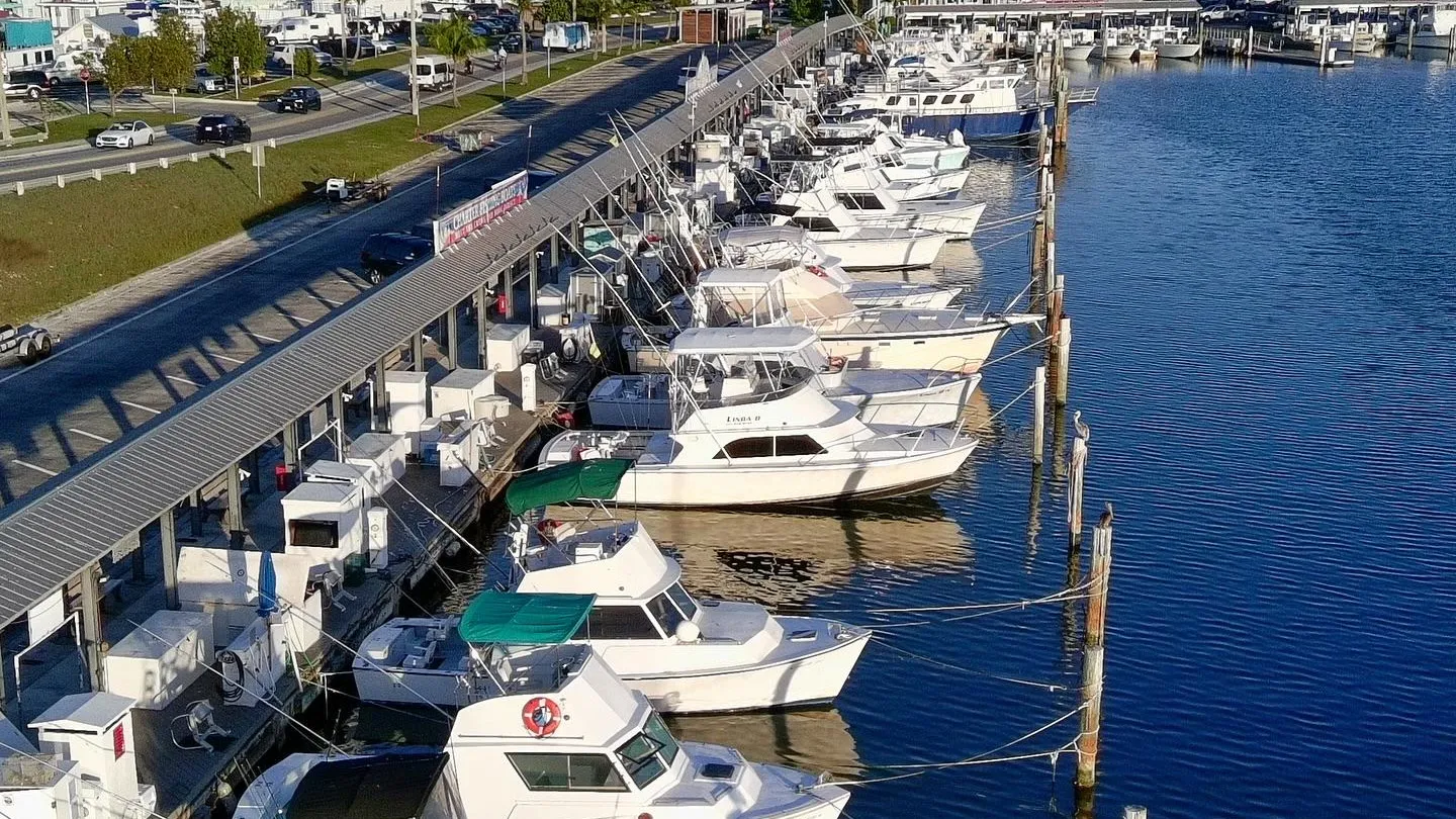 Charter Boat Row from the air: sportfishing boats tied stern-to along a covered dock at Garrison Bight, with the road on one side and the basin on the other
