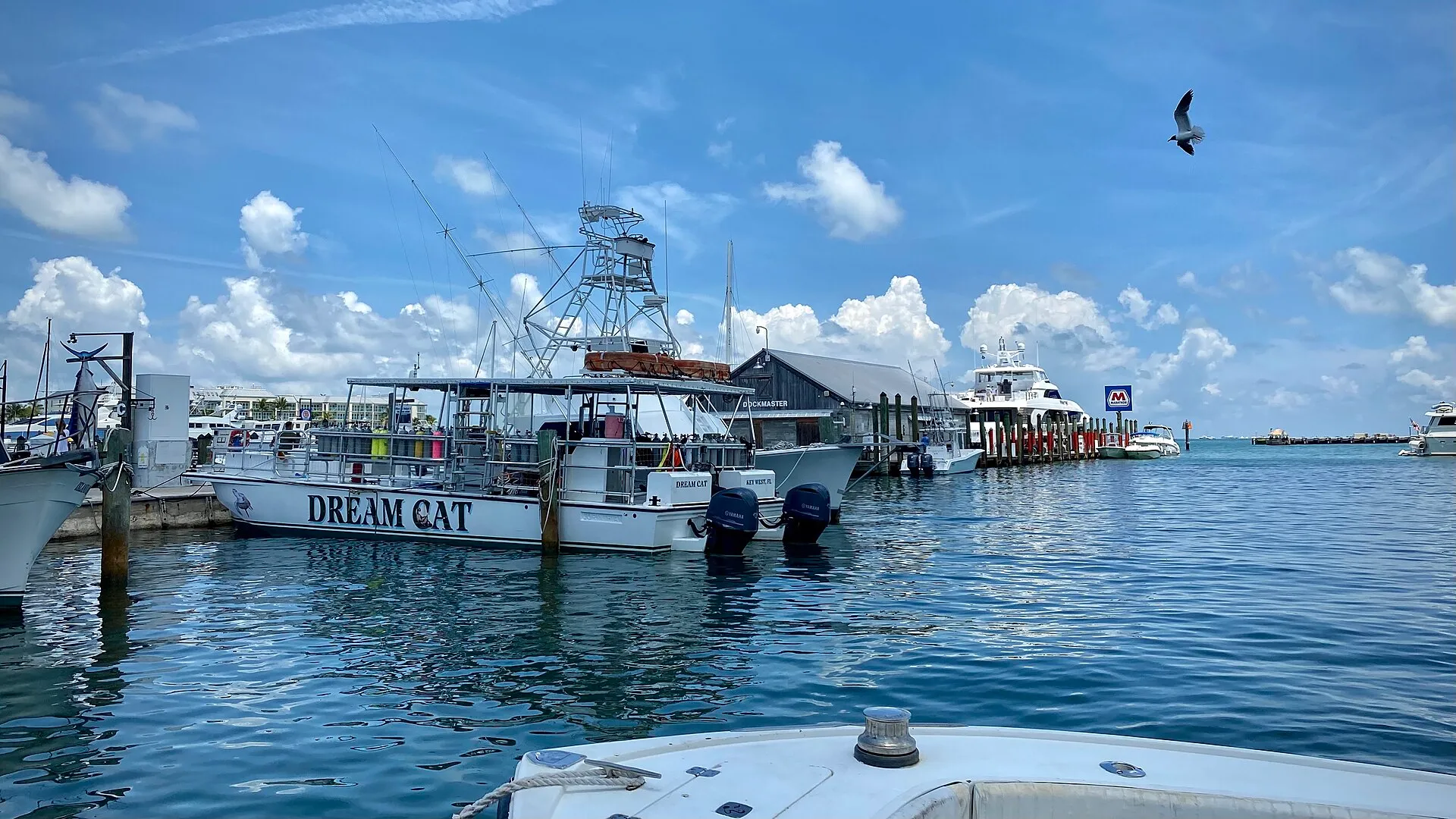Key West Bight and the Historic Seaport — charter boats at their berths
