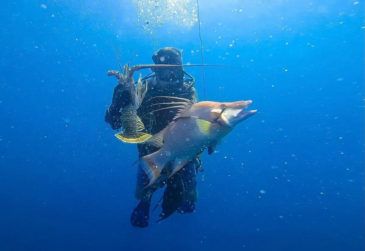 Conch 'N Around Charters, Key West