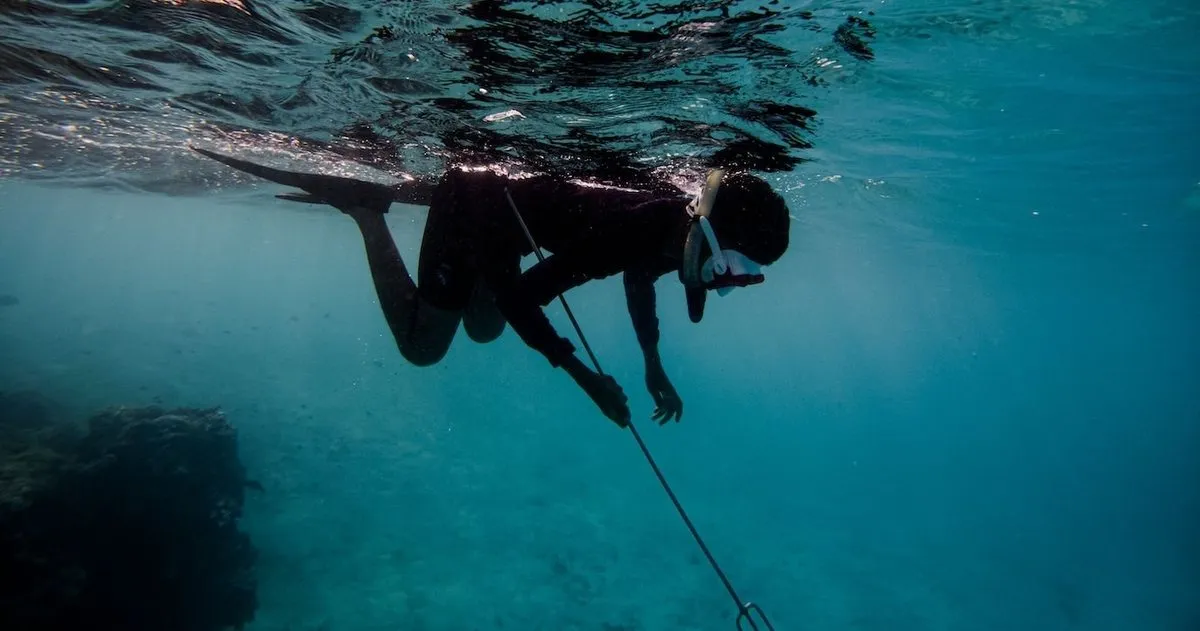 Key West Conchlife Charters, Key West